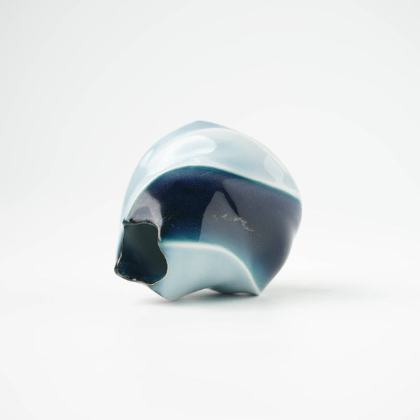 IXL-0001